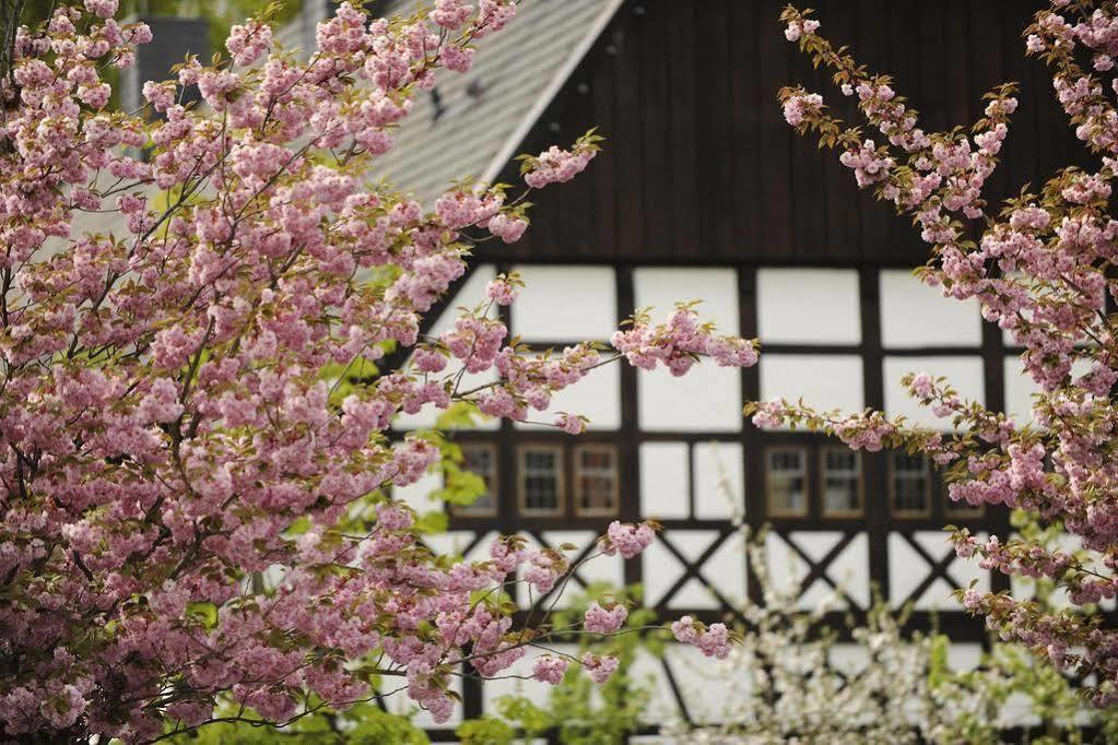Hof Hueck Hotel Bad Sassendorf Luaran gambar